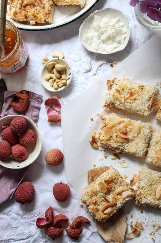 coconut bars with lychee and apricot-1-13