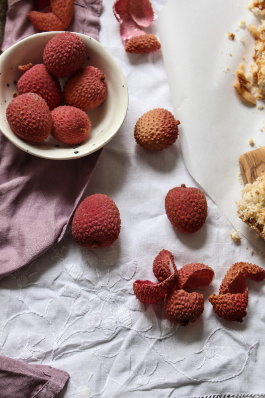 coconut bars with lychee and apricot-1-22