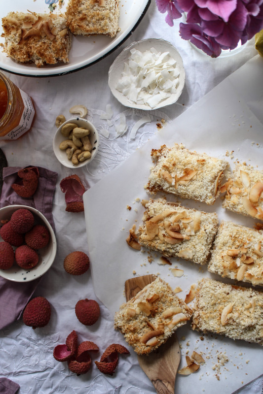 coconut bars with lychee and apricot-1-23