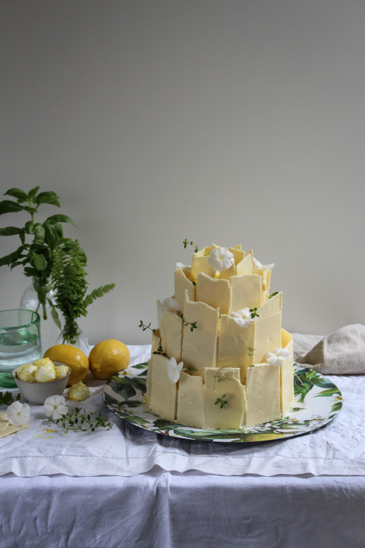 lemon poppy seed chocolate shard cake-1-11