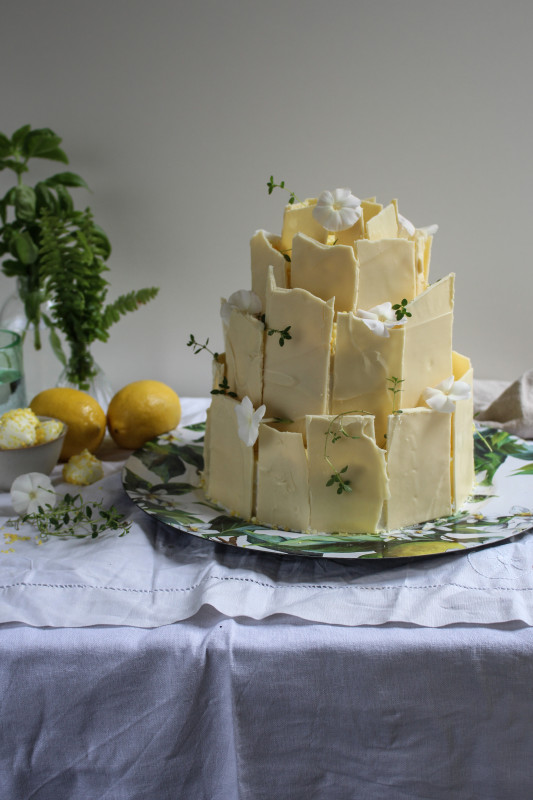 lemon poppy seed chocolate shard cake-1-17