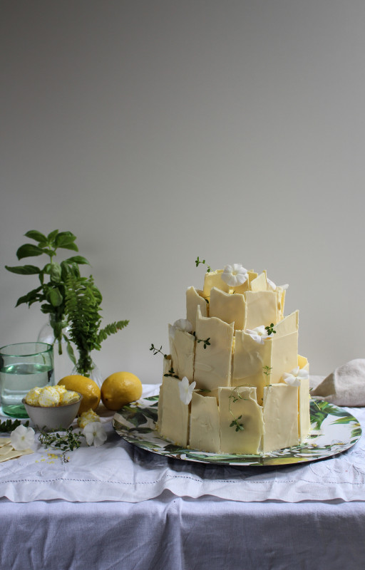 lemon poppy seed chocolate shard cake-1-19