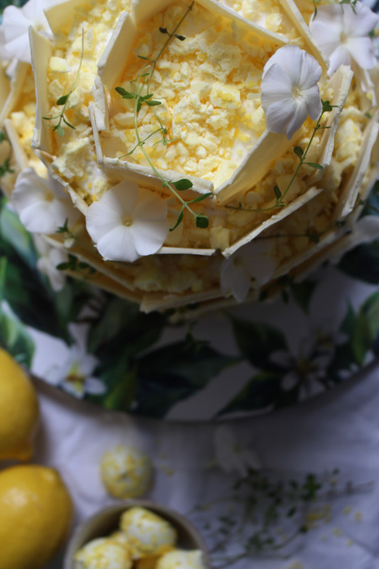 lemon poppy seed chocolate shard cake-1-35