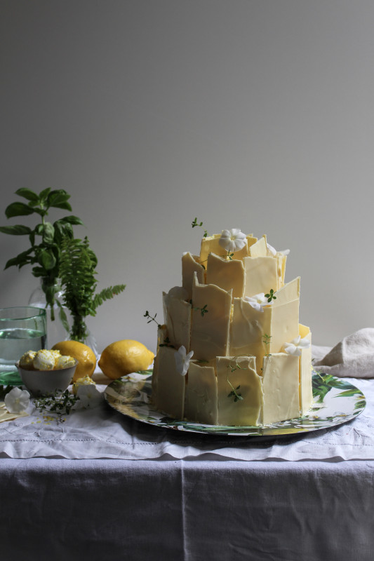 lemon poppy seed chocolate shard cake-1-37