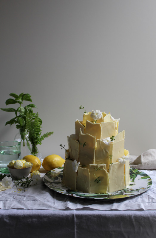 lemon poppy seed chocolate shard cake-1-39