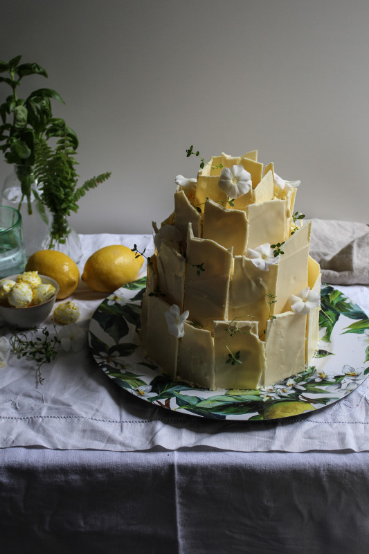 lemon poppy seed chocolate shard cake-1