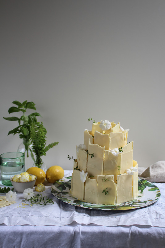 lemon poppy seed chocolate shard cake-1-6