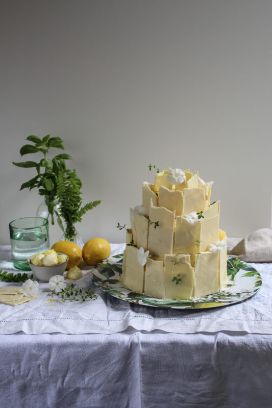 lemon poppy seed chocolate shard cake-1-7