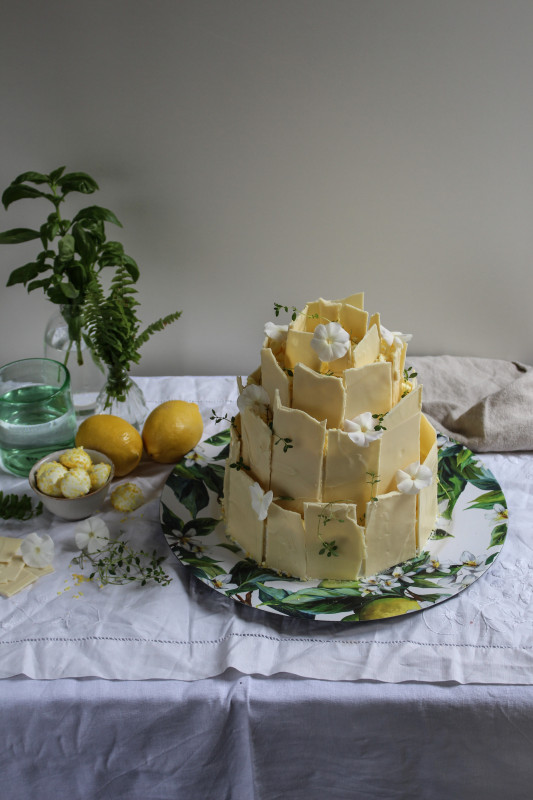 lemon poppy seed chocolate shard cake-1-9