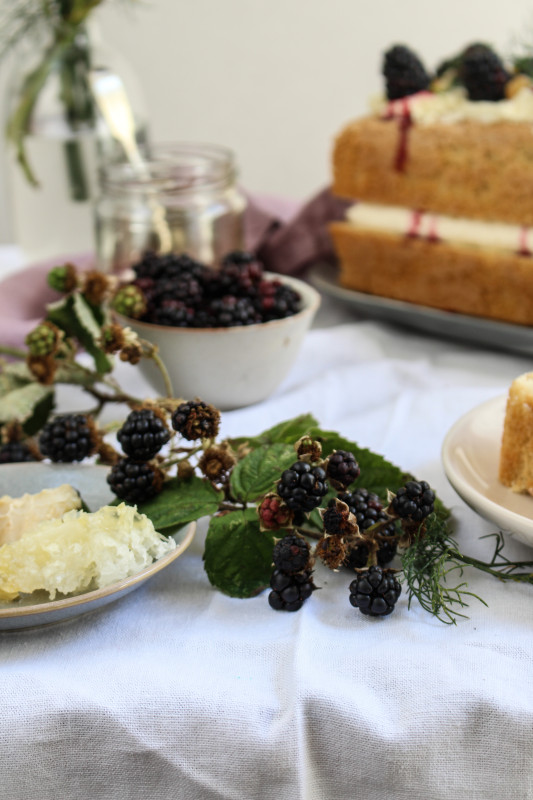 wild blackberry and fennel cake-1-5