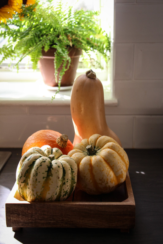 pumpkin pies baked inside squashes-1