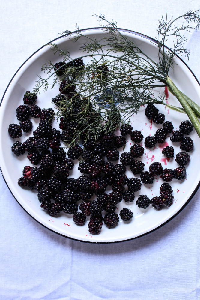 wild blackberry and fennel cake-1-2