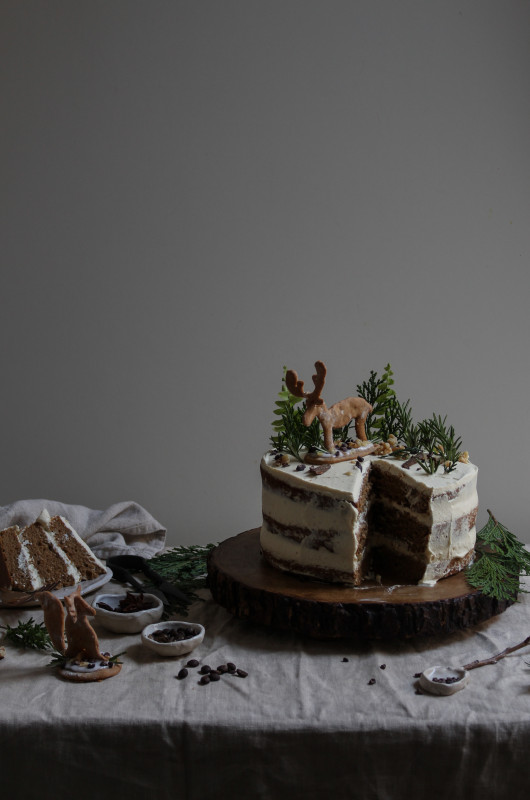 winter spiced coffee cake-1-14