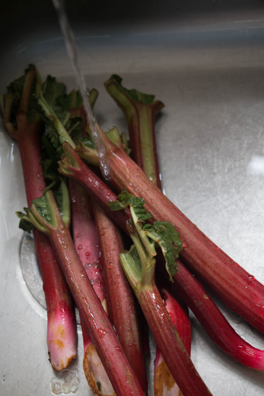 rose pomegranate roasted rhubarb-1-7