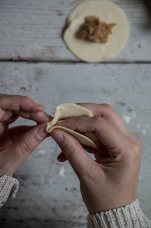 pork gyozas-1-12