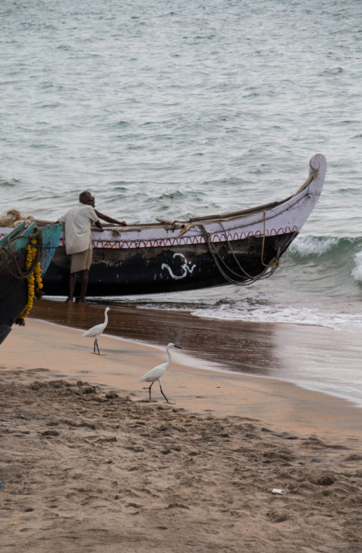 kerala-1-105