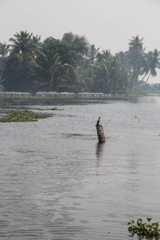 kerala-1-13