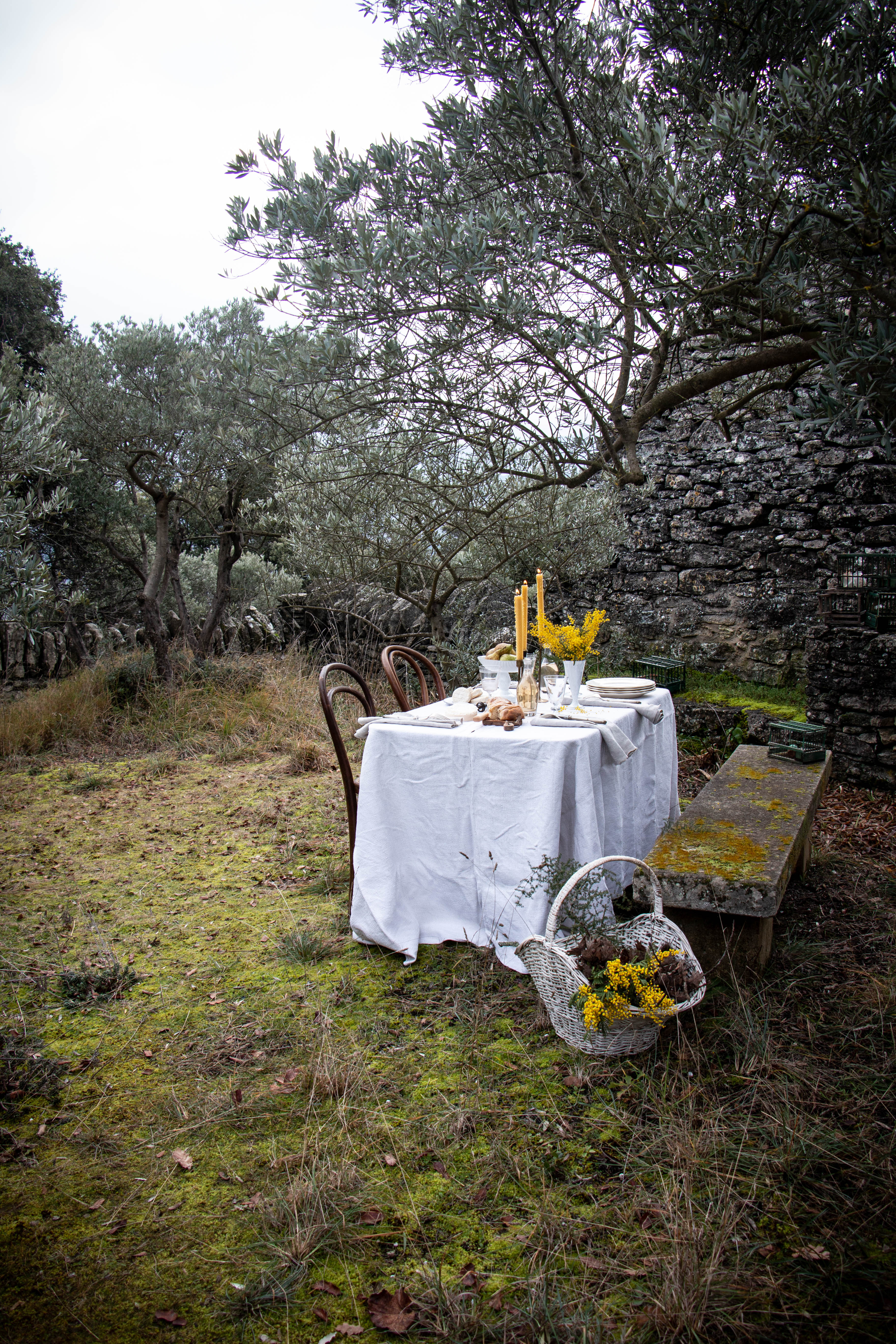 gathering in provence