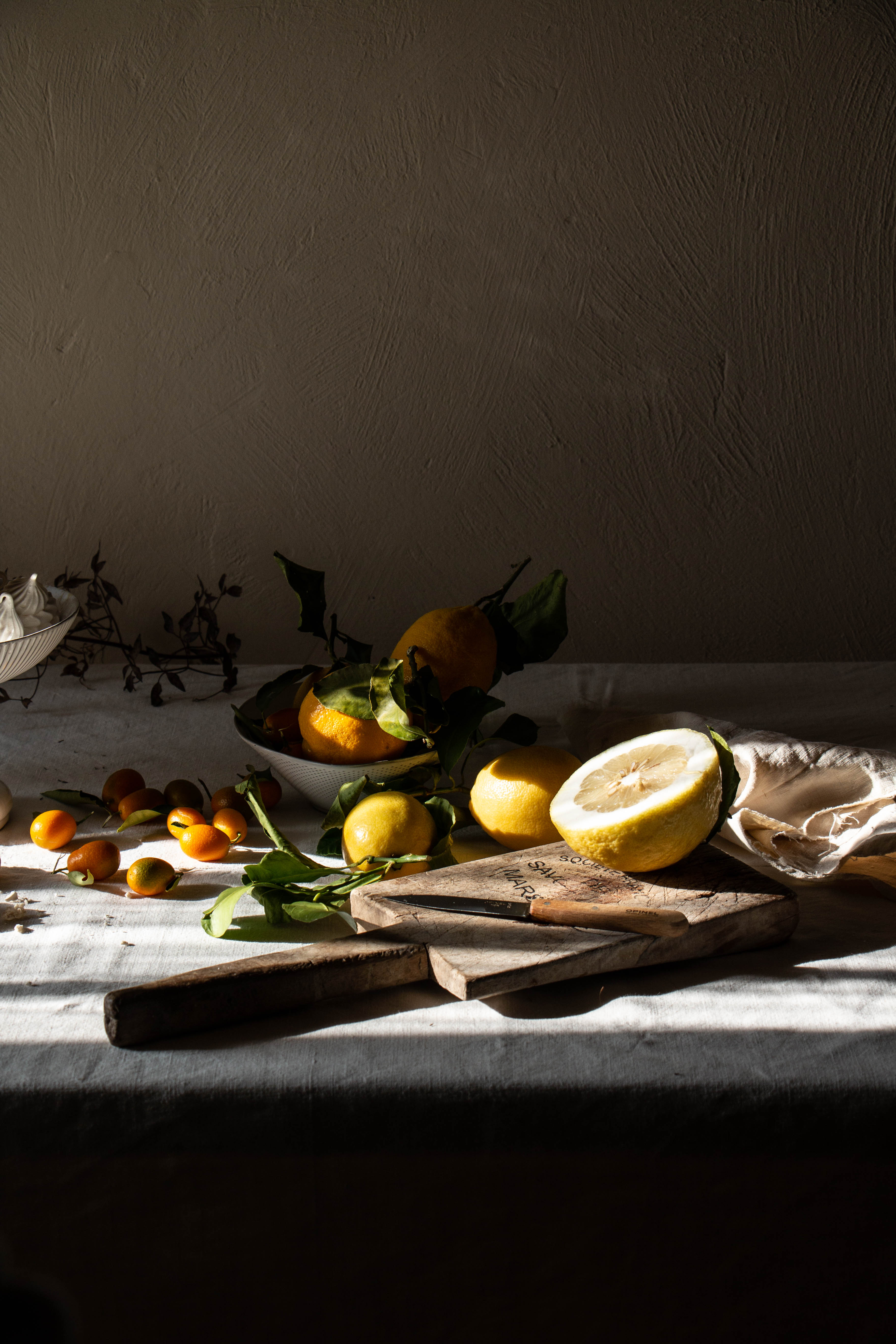 still life photography citrus