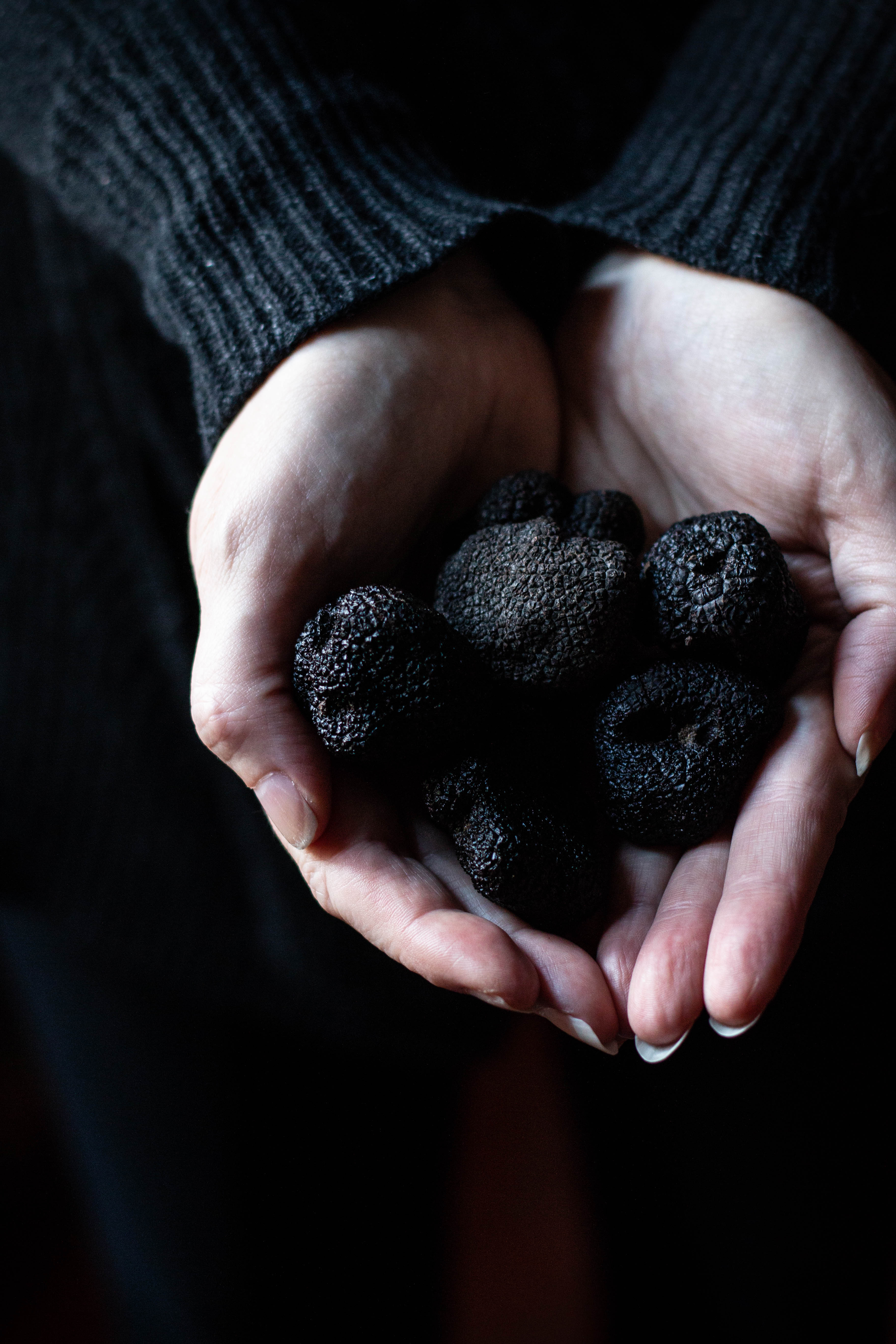 black truffles