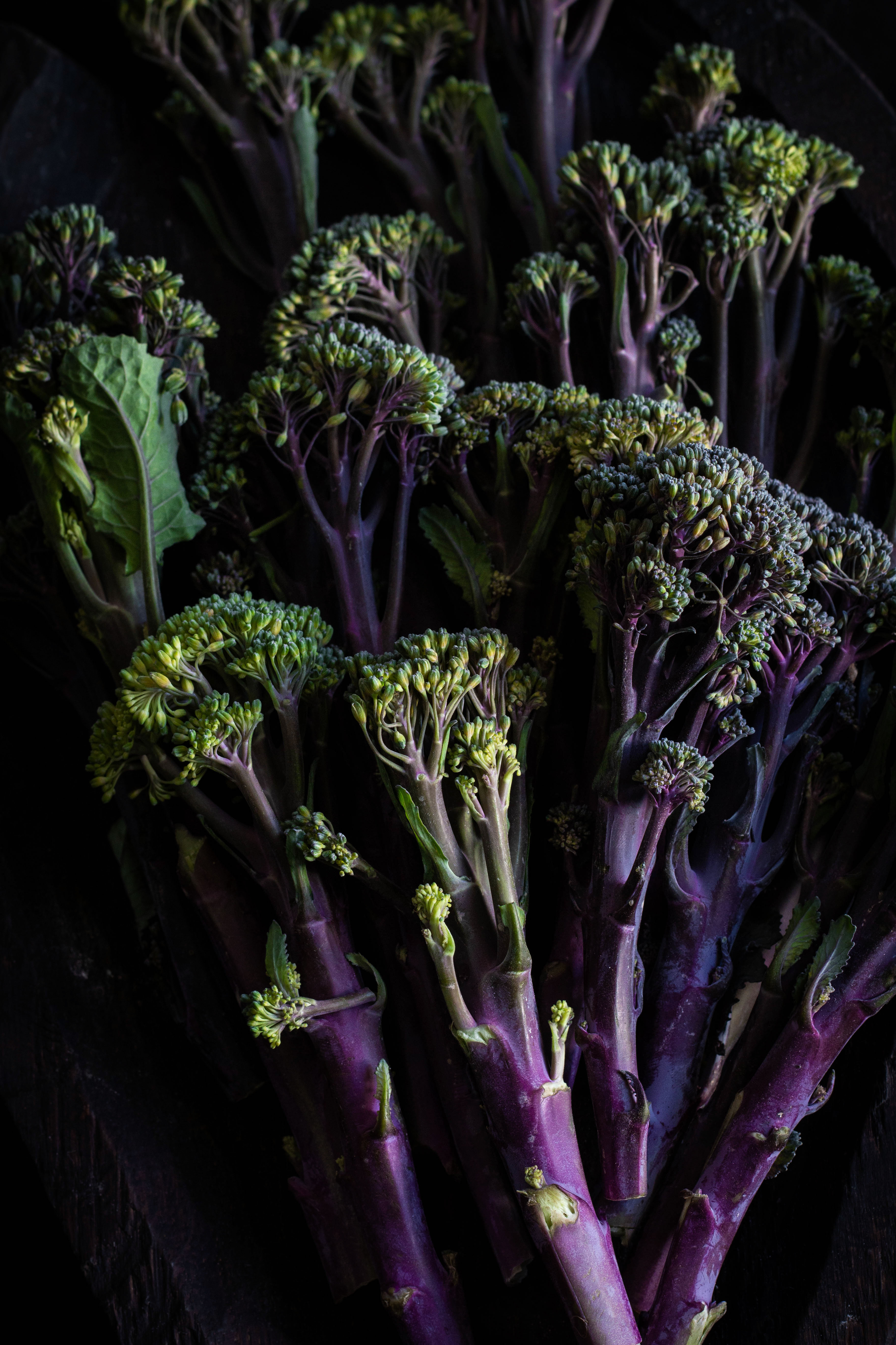 purple broccoli