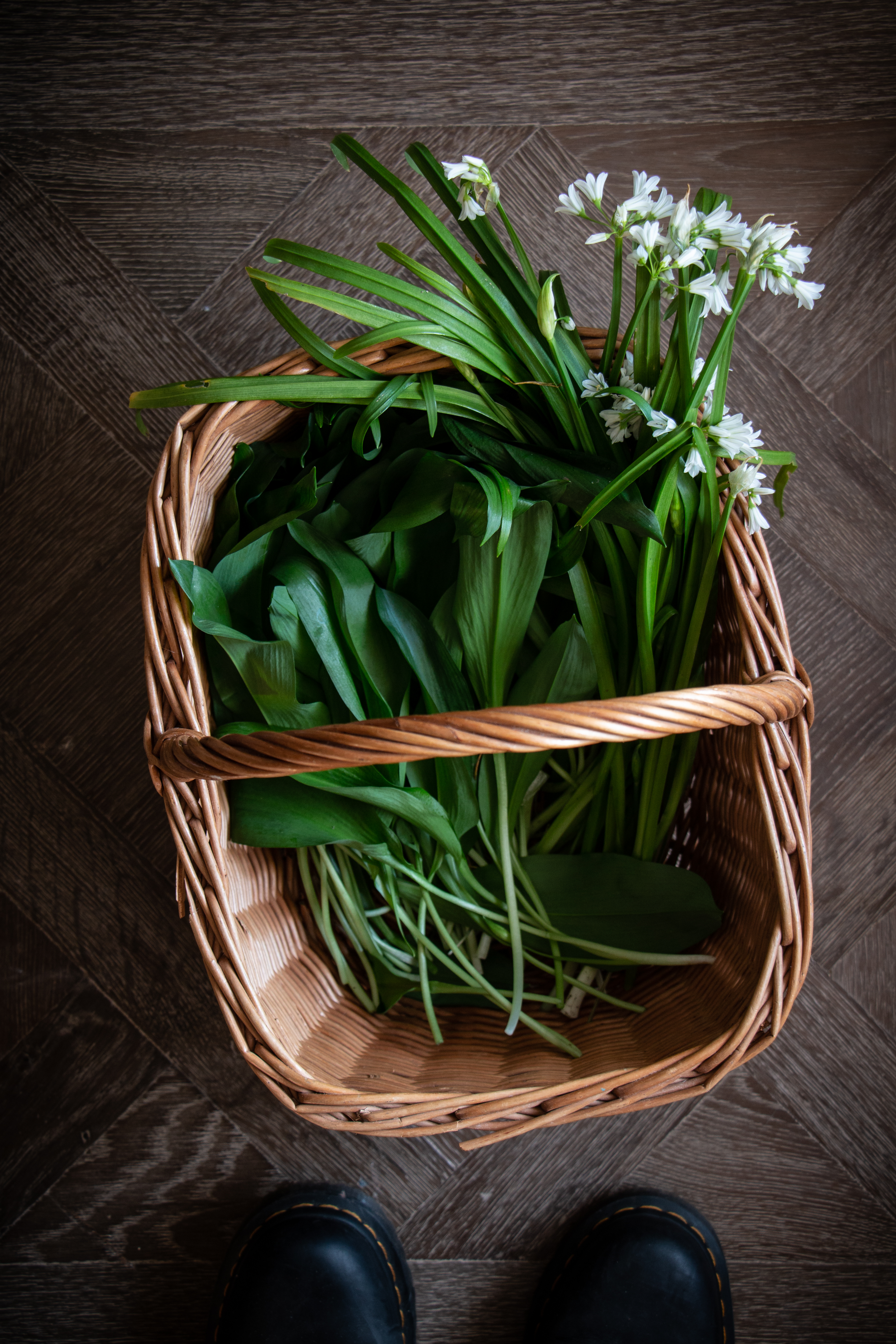 spring time wild garlic