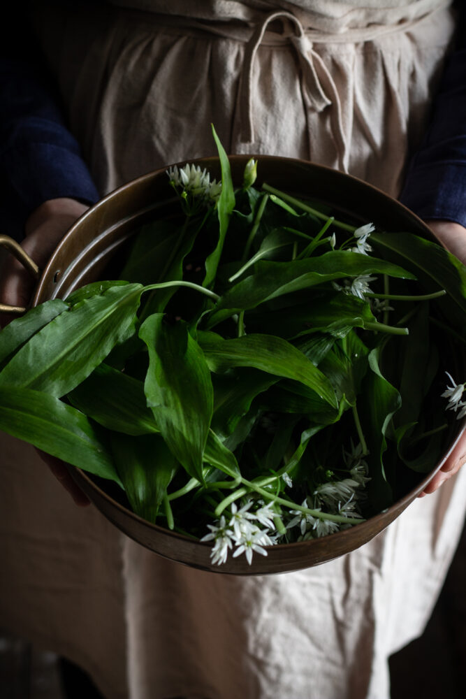 wild garlic