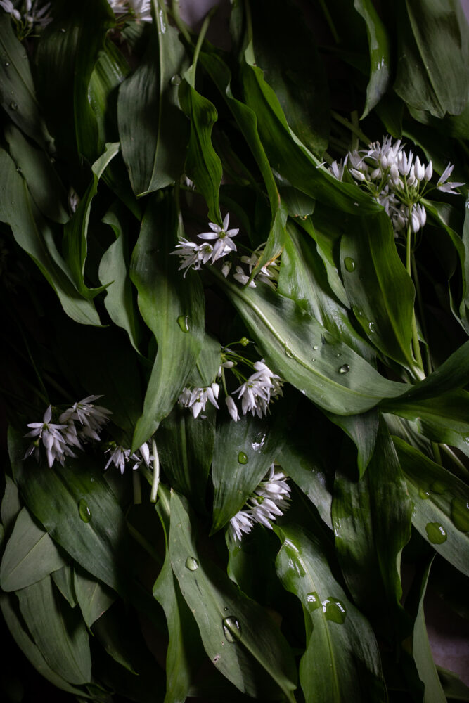 wild garlic focaccia