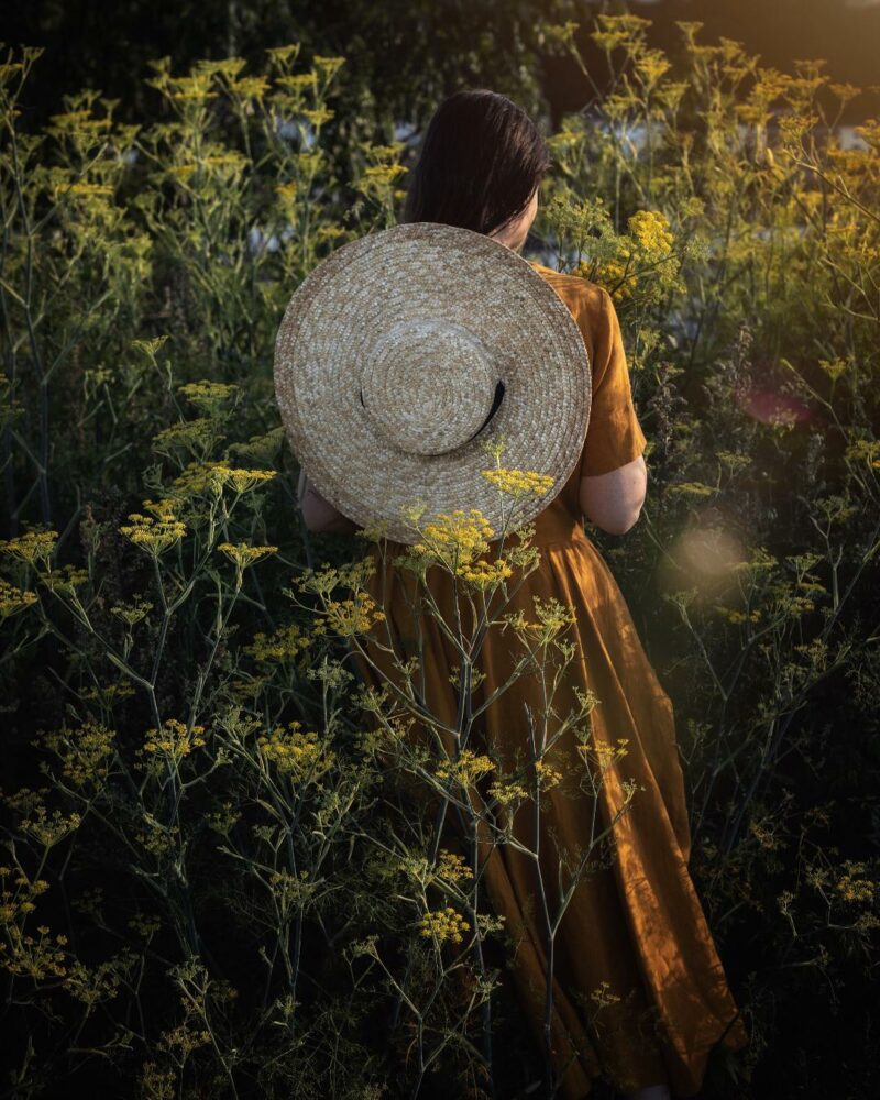 fennel picking