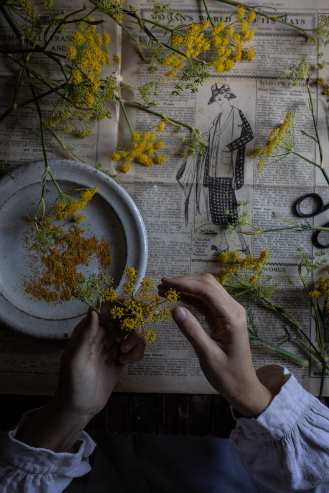 fennel pollen