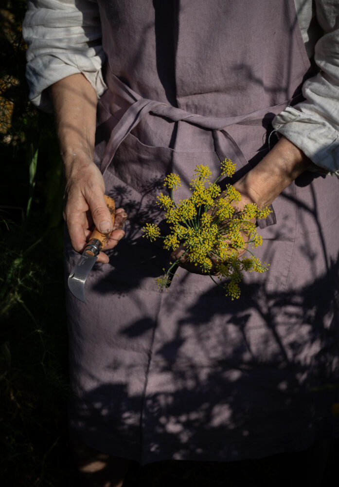 picking fennel flowers