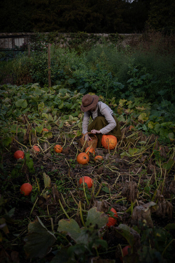 pumpkin patch