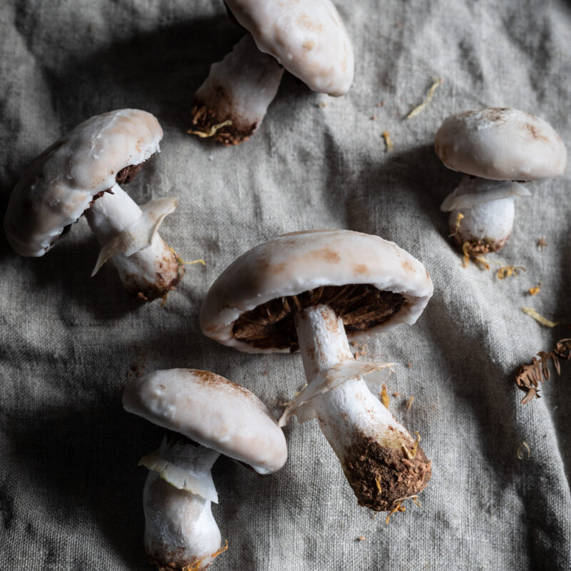 mushroom shaped gingerbread