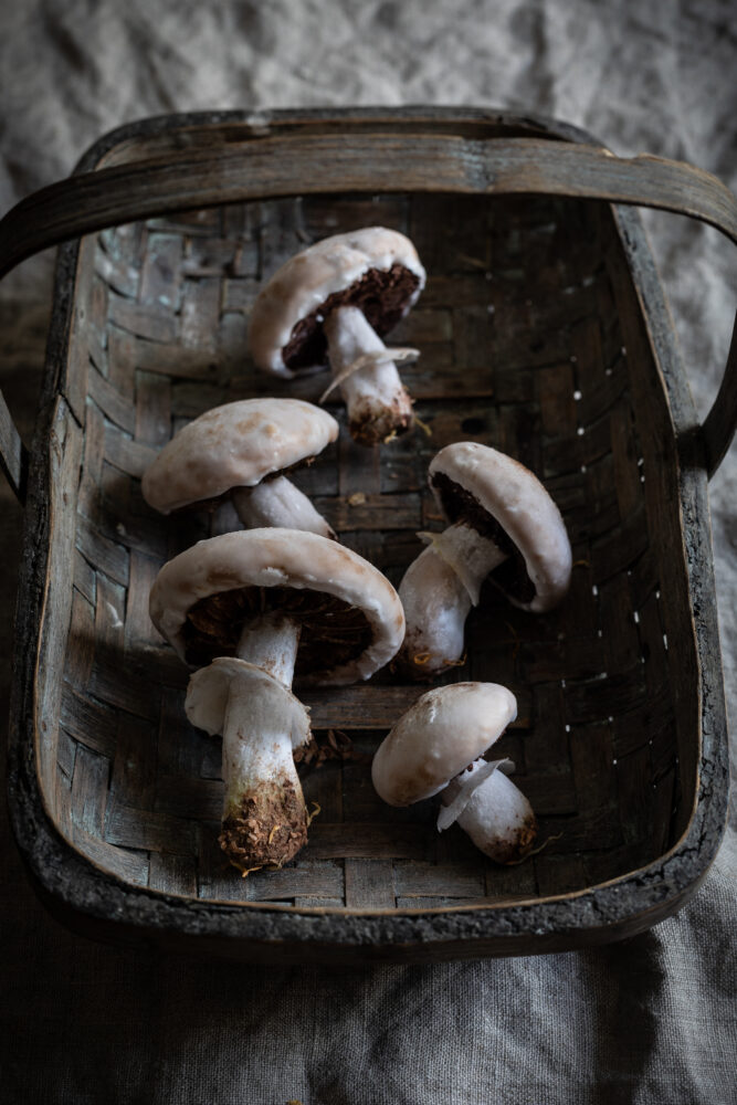 mushroom shaped gingerbread in basket