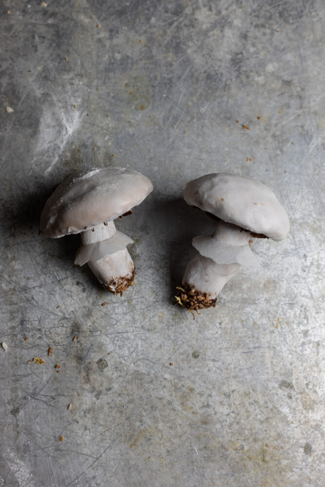 step 14 mushroom shaped gingerbread