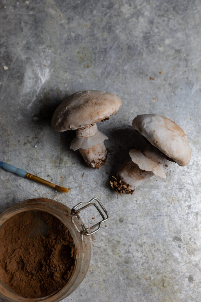 mushroom shaped gingerbread step 16