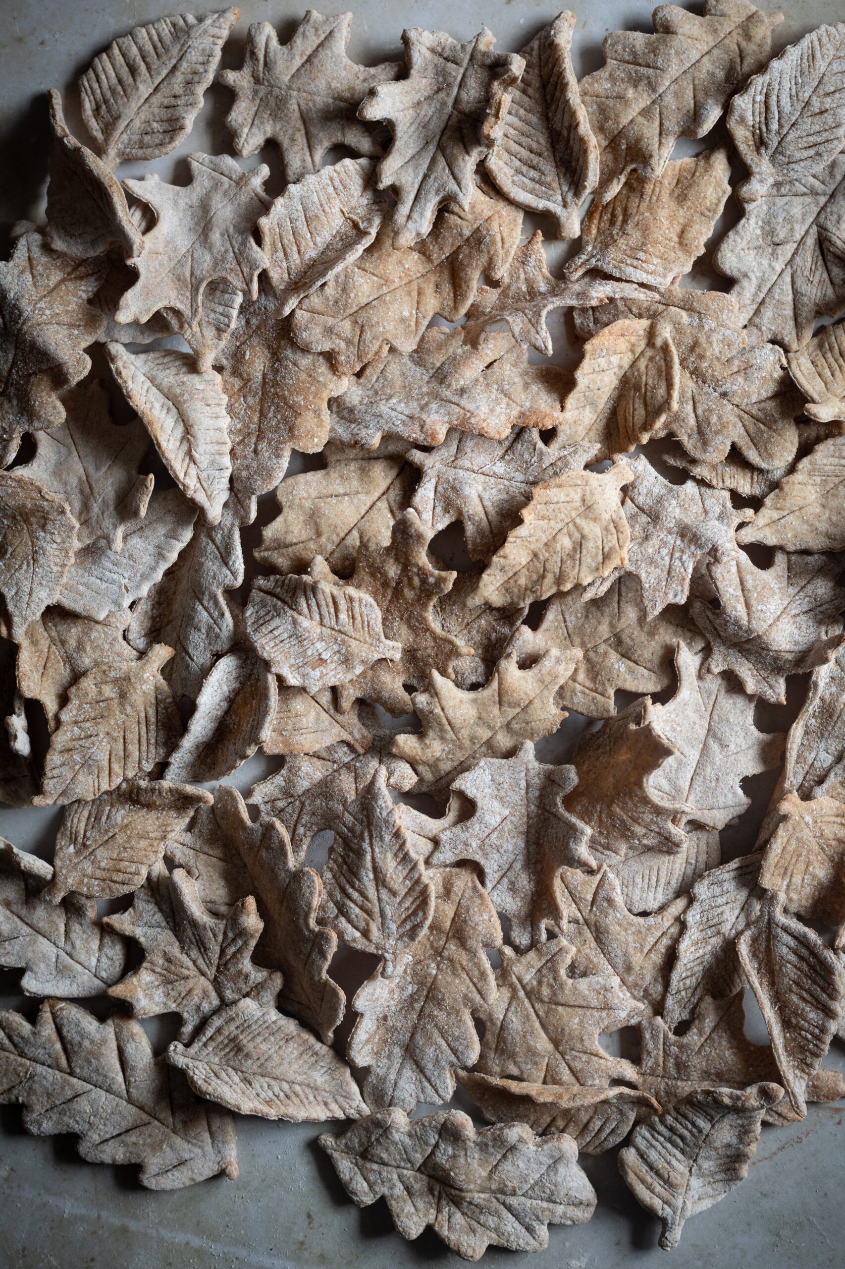 leaf rye crackers