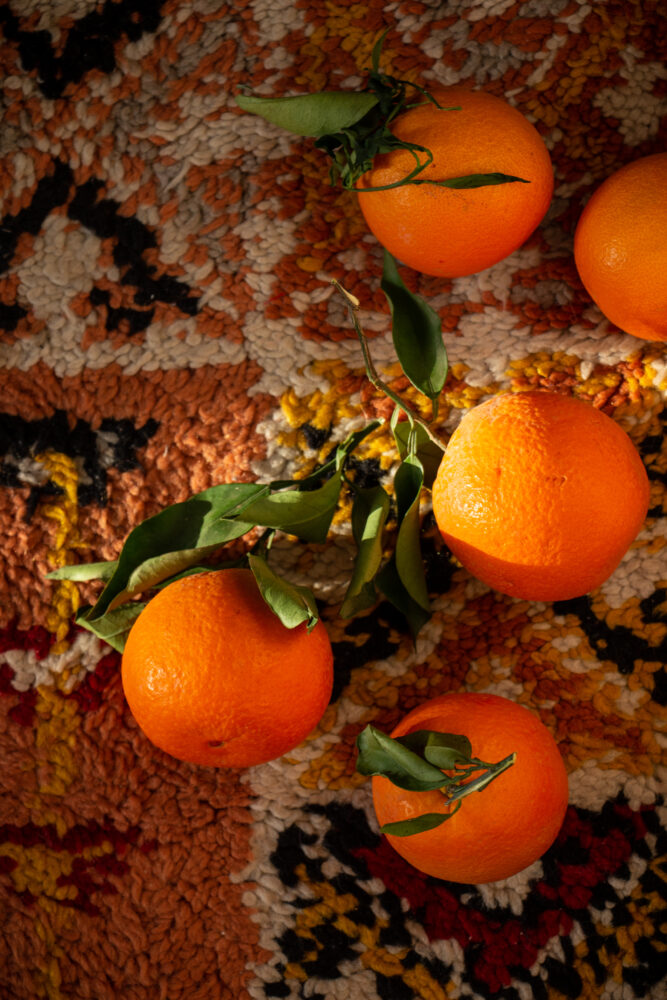 citrus morocco