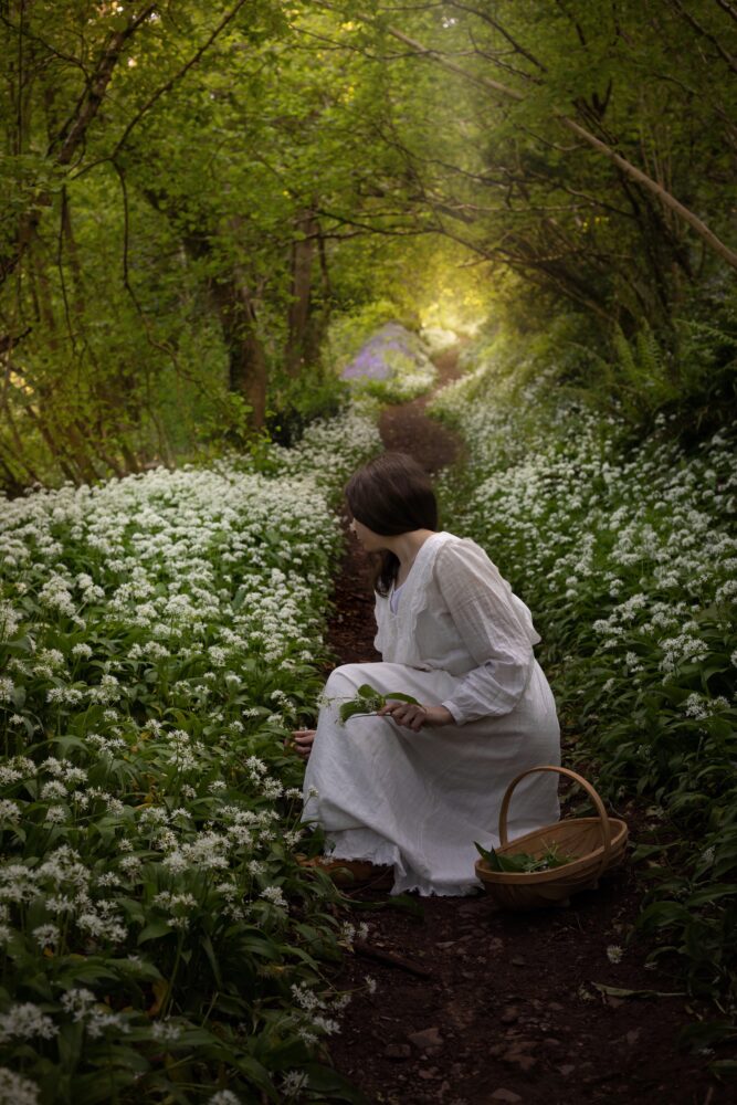 wild garlic foraging