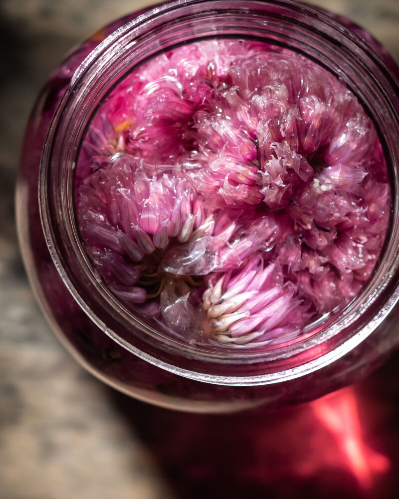 chive blossom vingar