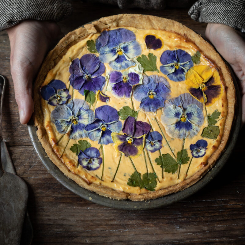 Ricotta and Parmesan cheesecake tart