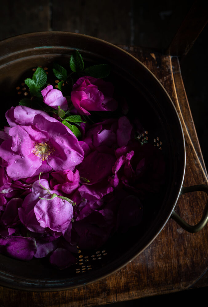 roses in a sieve