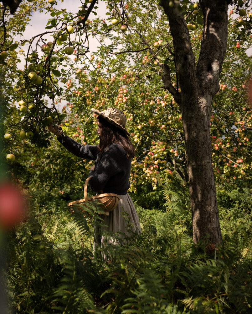 apple picking