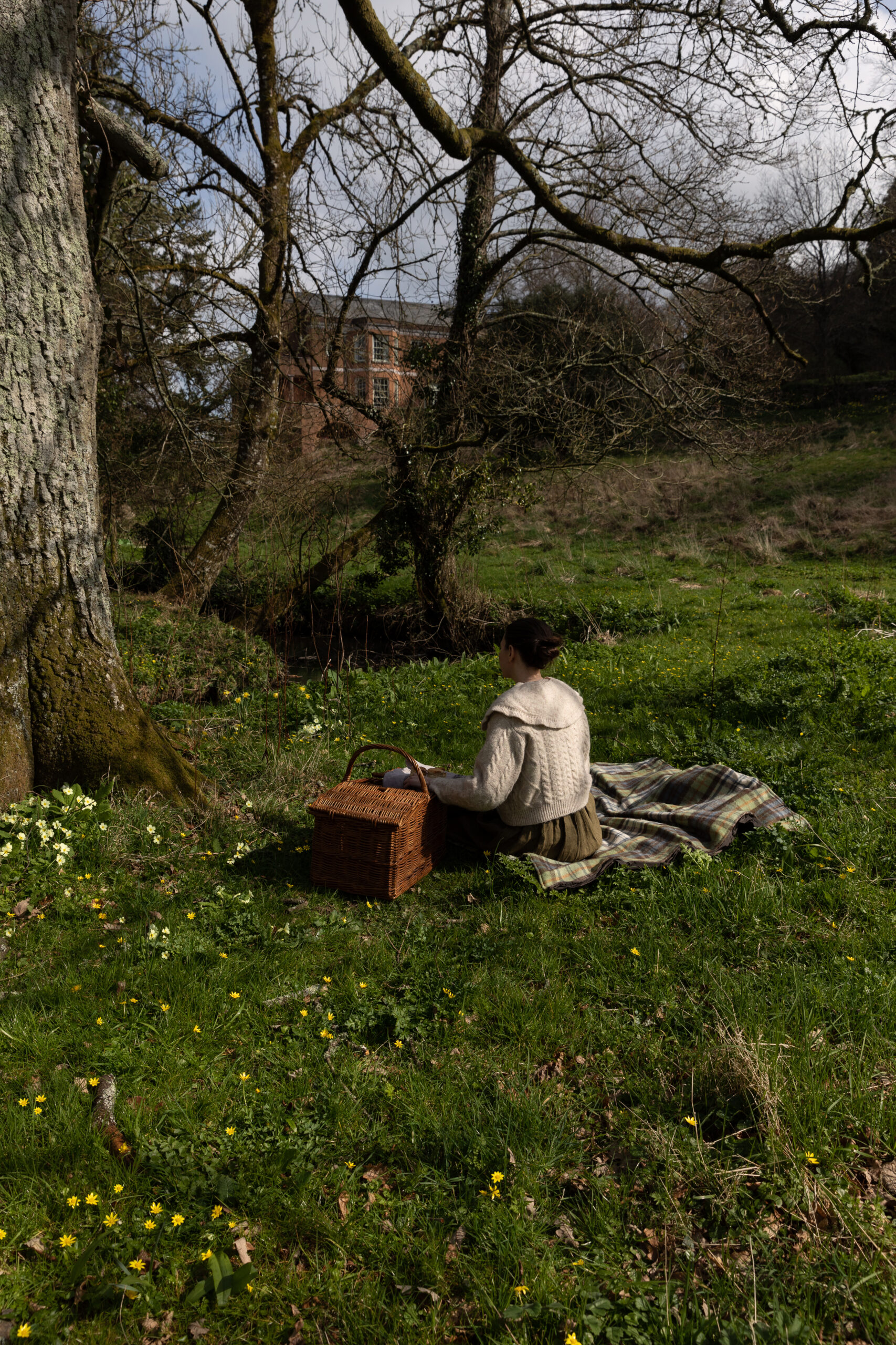 garden picnic