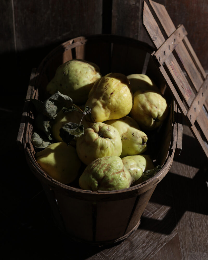 quince in basket