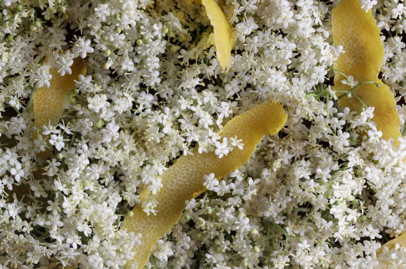 Homemade Elderflower liqueur